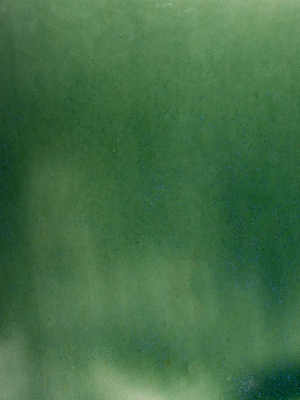 Close up of Forest Green Gloss, a dark green glossy surface