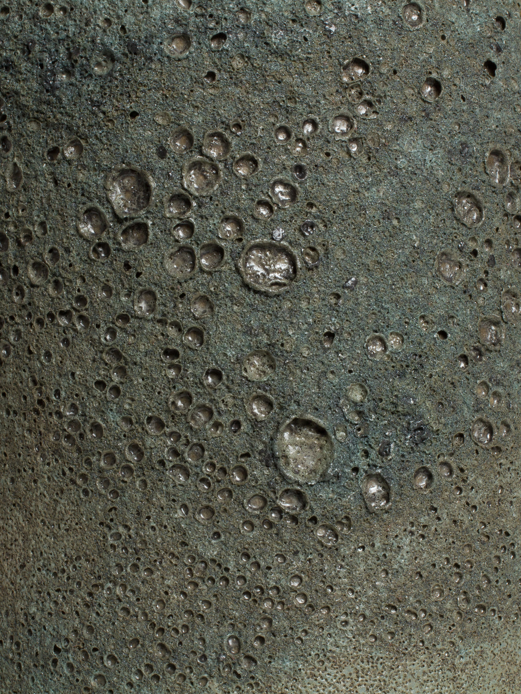 Close view of the Lichen Grey surface, open craters and raised beads across a dry grey-green ground