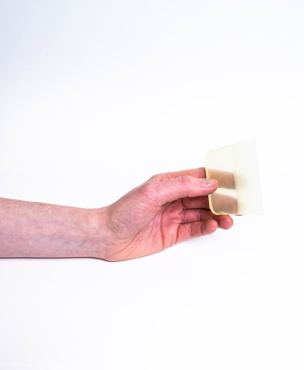 Hand holding the pale cream translucent rib, showing its size against the fingers